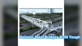 200 Type Modular Steel Bridges Strong & Seismic Resistant