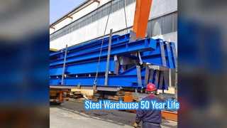 Steel Warehouse 50 Year Life Custom Load
